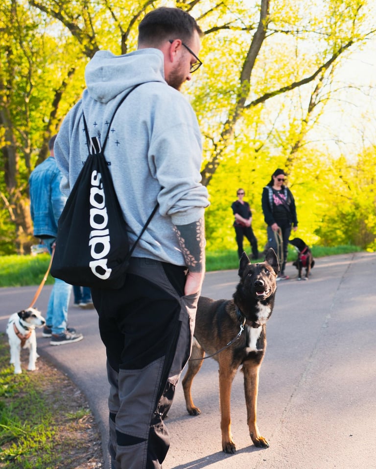 Foto vom Social Walk im Kreis Merseburg
