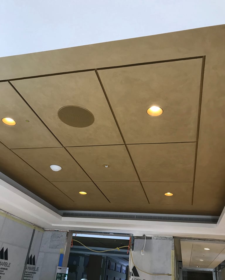 Modern recessed drop ceiling panels in tan with built-in spotlights and speakers.