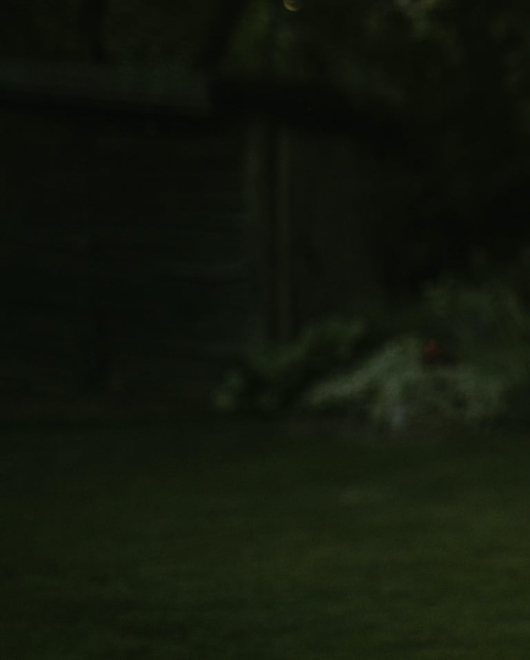 tamsiai žalios spalvos fonas