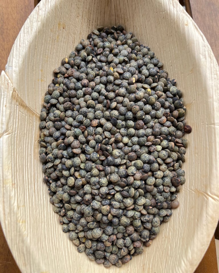 Graines de lentilles vertes. Crédit photo : Terres&Graines