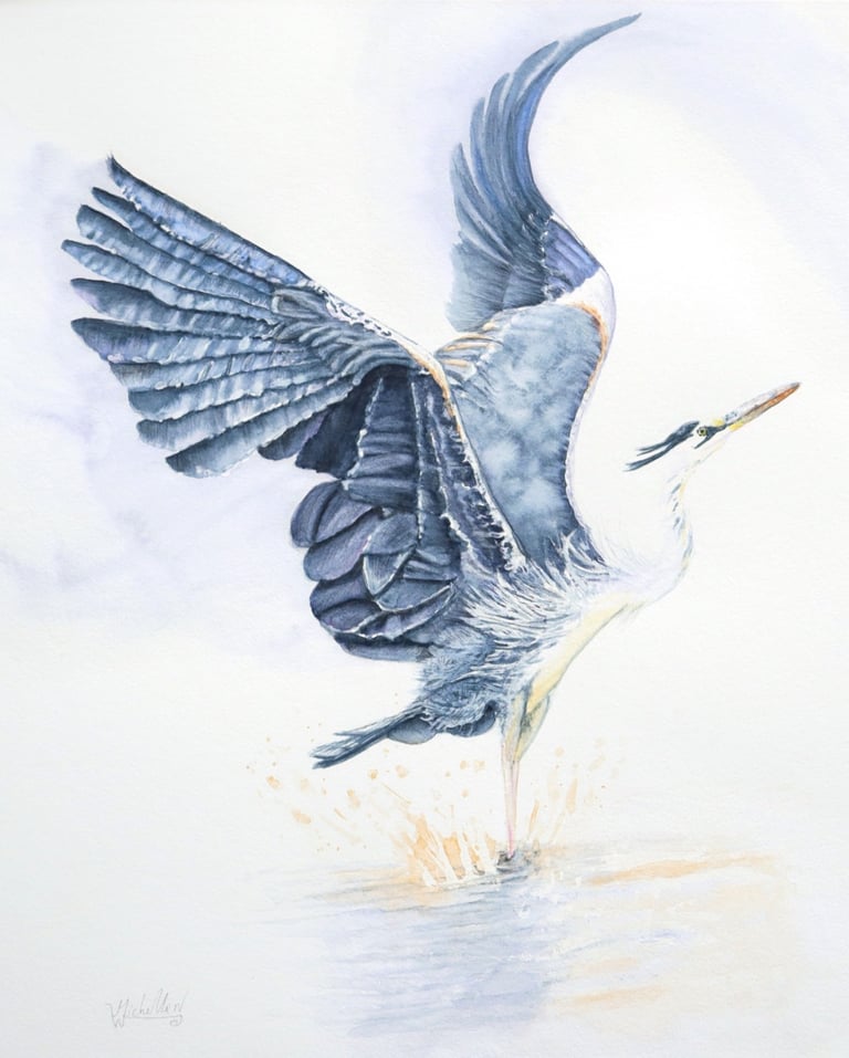Making a Splash, Heron Elevating, Original Artwork