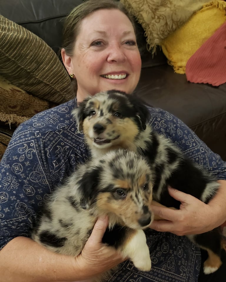 holding laudrick aussie puppy