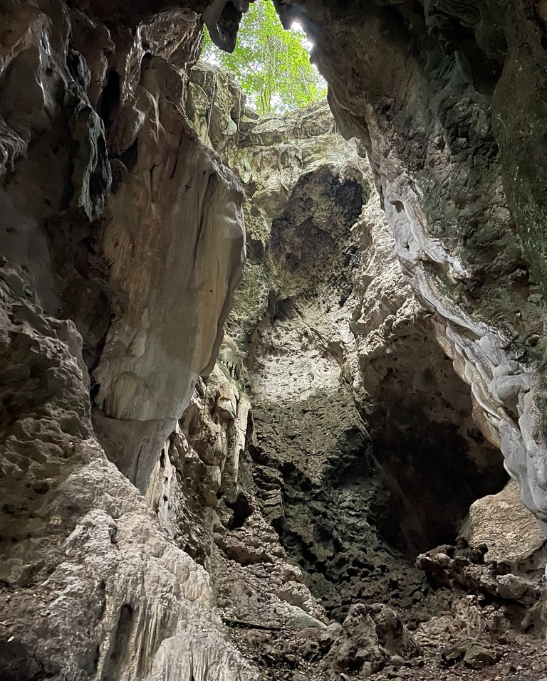 Killing Caves
