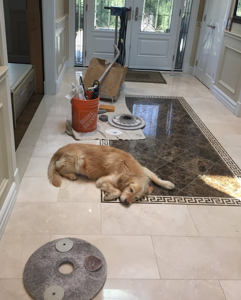 A dog napping after a hard day Marble Polishing