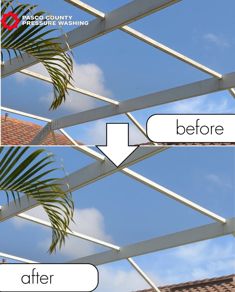 Pool Cage/Screen Enclosure Soft Wash Palm Harbor, FL