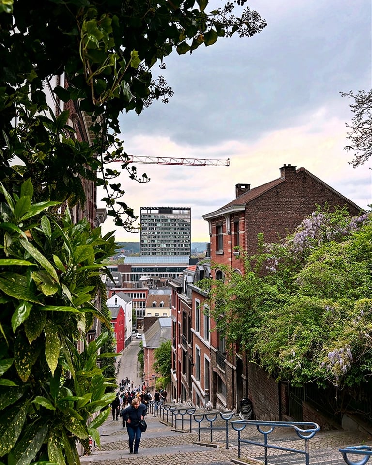 Vue sur la ville de Liège