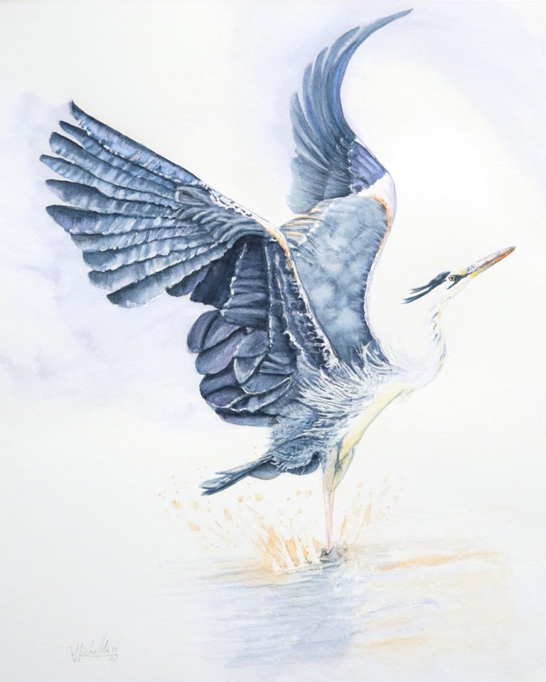 Making a Splash, Elegant Heron