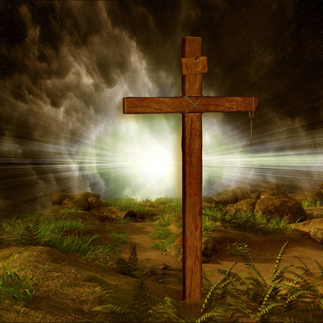 Psalm 91 verse 9-10 no evil shall befall you, no plague come near