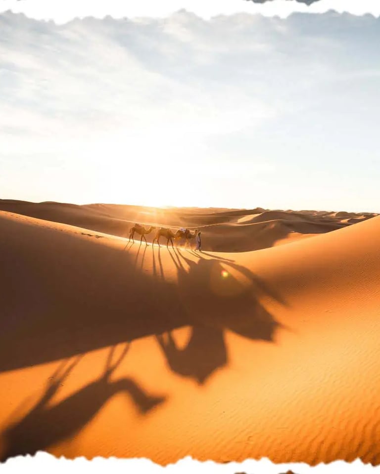 Home - Morocco Tours, Desert Trips & Eco Travel Experiences - dar toda zagora guest house