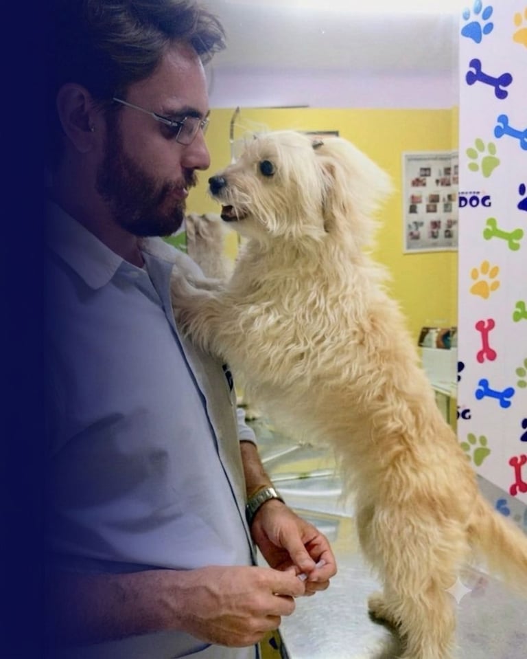 Vacina Cão e Vacinas Gato em Maringa