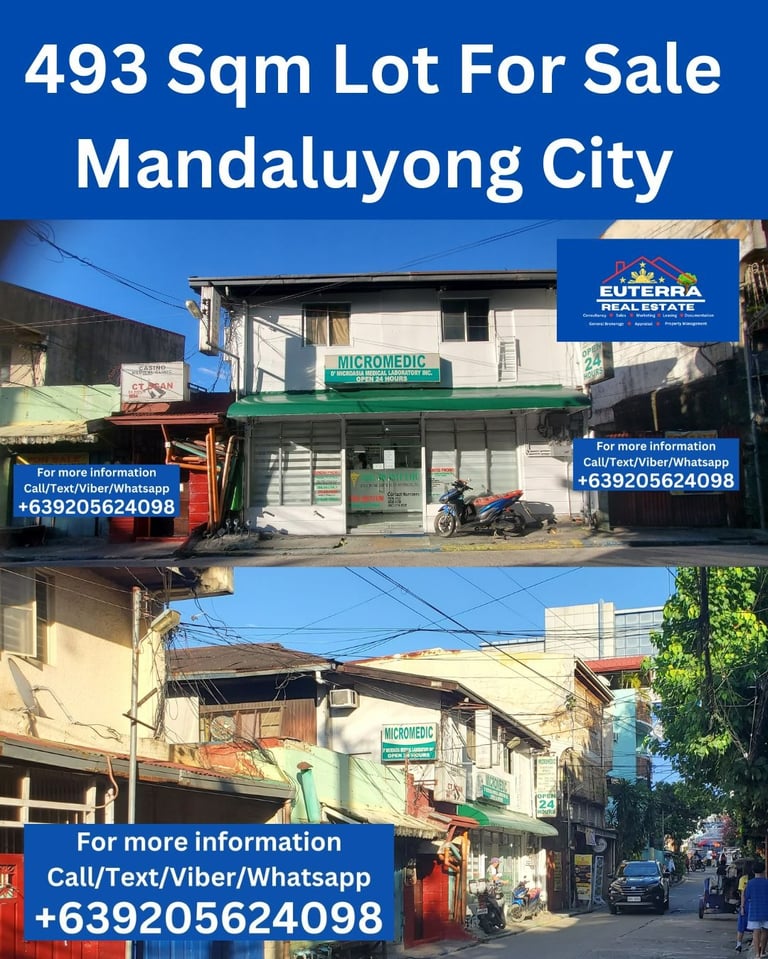 Euterra Real Estate 493 Sqm Lot for sale in Mandaluyong City