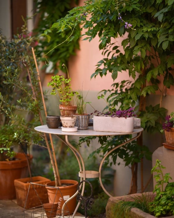 exterieur gite ribeauville zum harzala