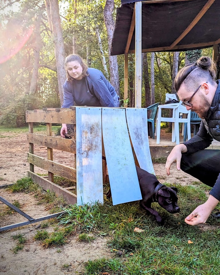 Deux personnes et un chien lors d'une seance d'éducation canine