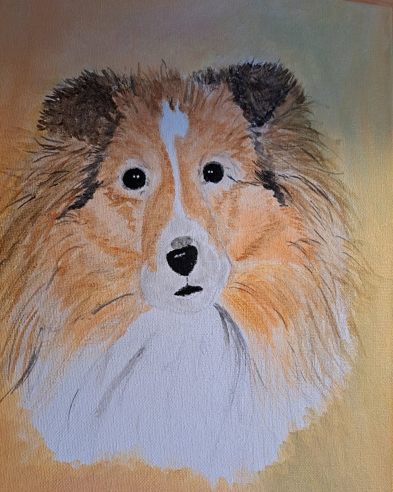 Acrylic on Canvas by Siobhan Guthrie Holly the Shetland Sheep Dog in Progress