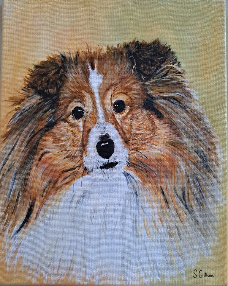 Acrylic on Canvas by Siobhan Guthrie Holly the Shetland Sheep Dog