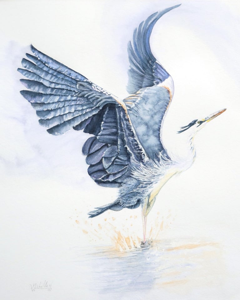 Making a Splash, Heron Elevating, Original Artwork