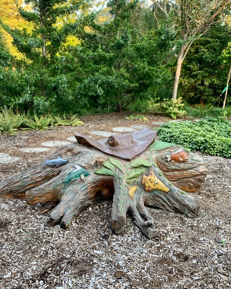 manta ray spruce trunk carving