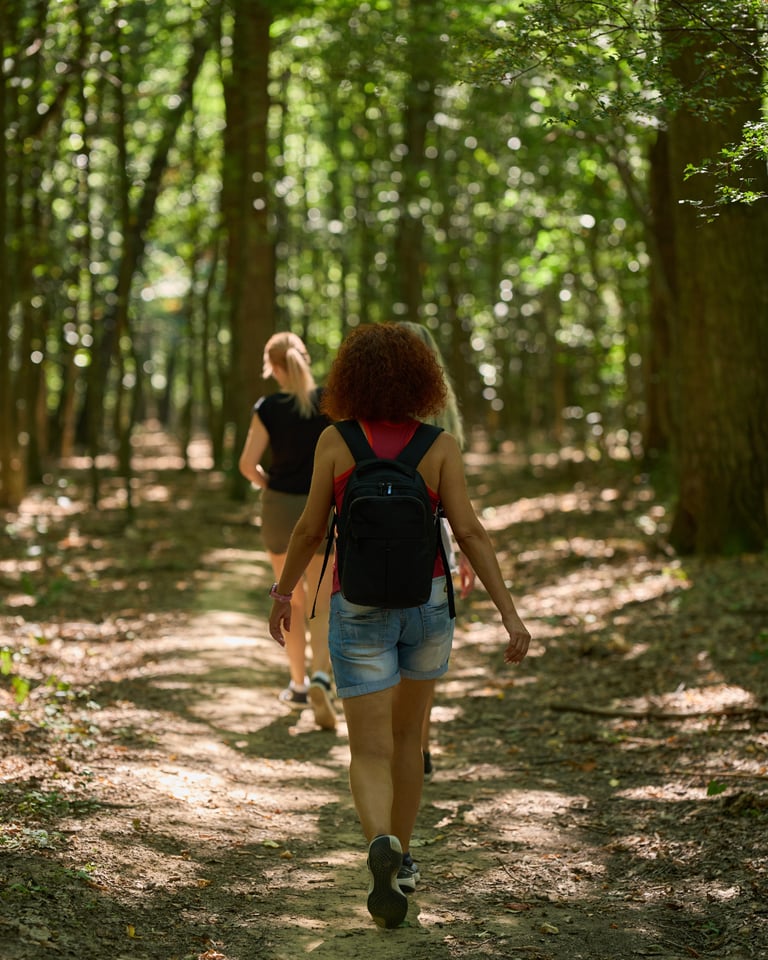 Mendoza Retiro Pulsar treking