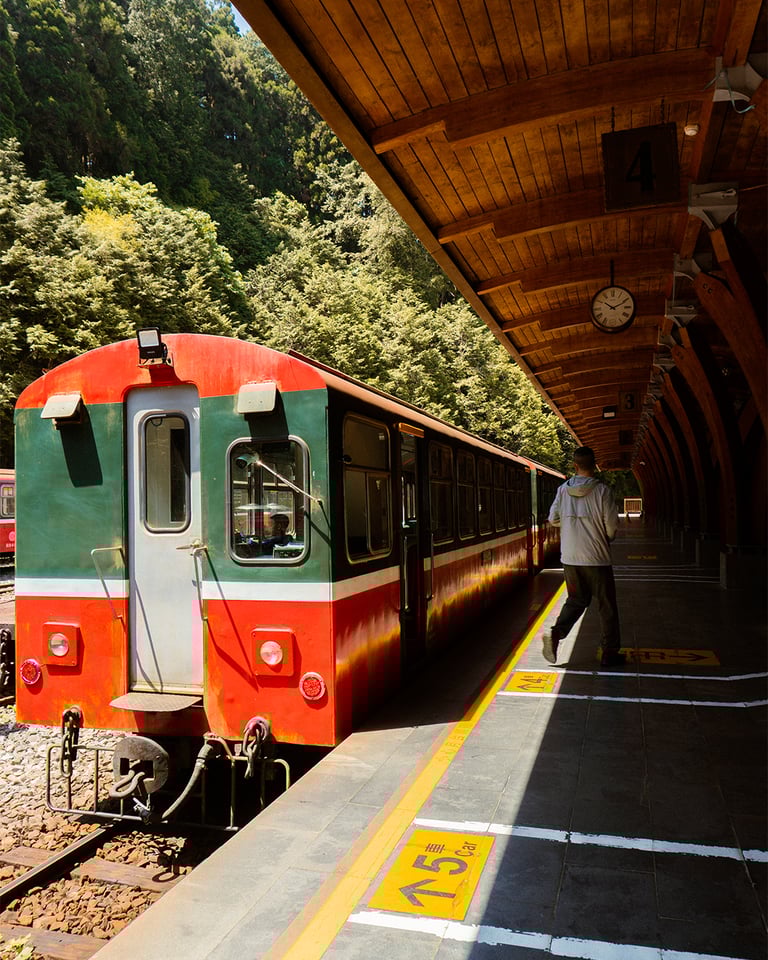 Alishan Forest Railway Train