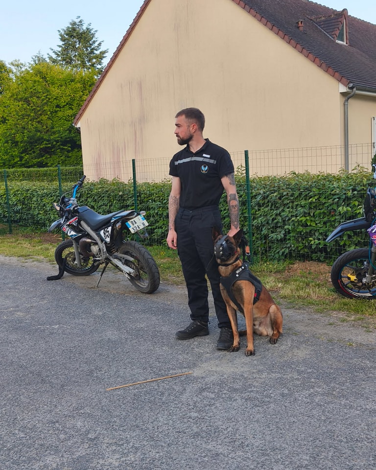 agent sécurité cynophile châtellerault poitiers descartes