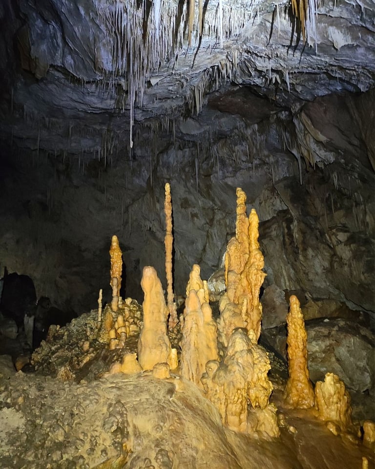 Estalagmitas creciendo desde el suelo de la cueva por deposición de carbonato cálcico