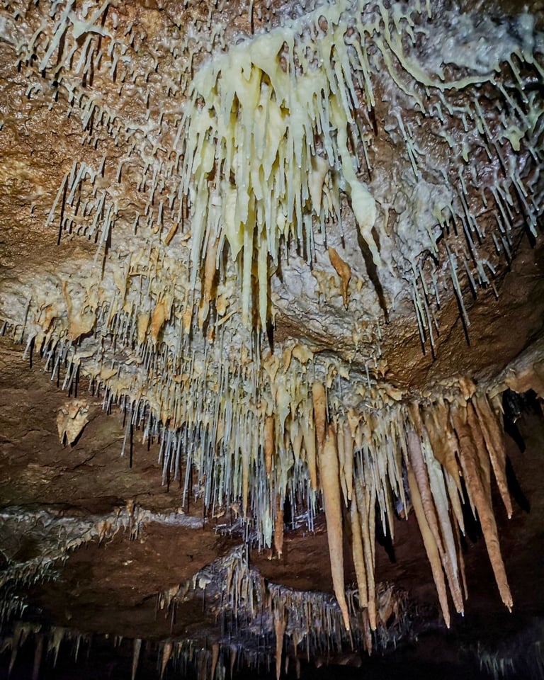 Estalactitas formadas en el techo de una cueva por filtración de agua rica en minerales