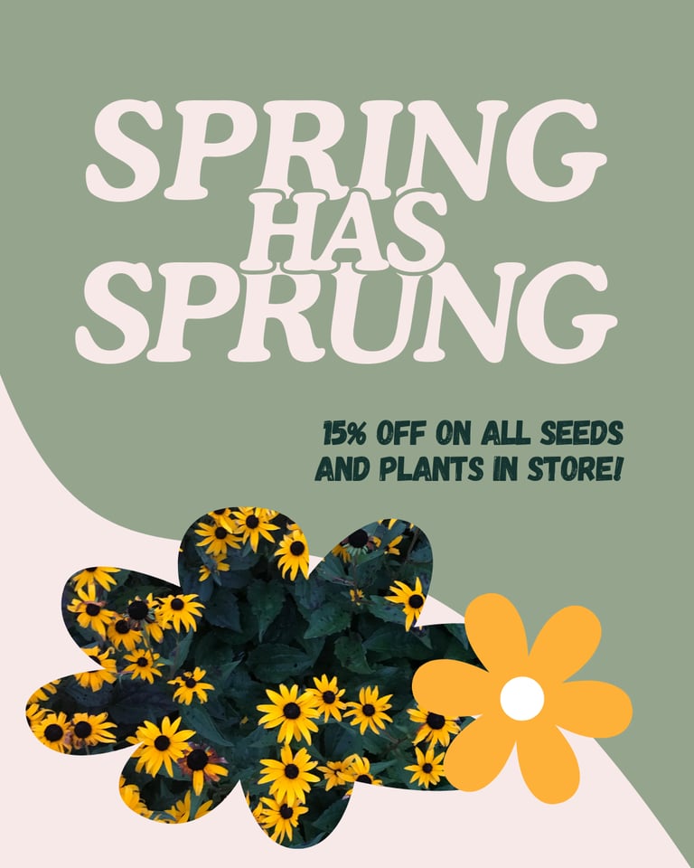 Social post example: a green background with 'spring has sprung' and flower imagery