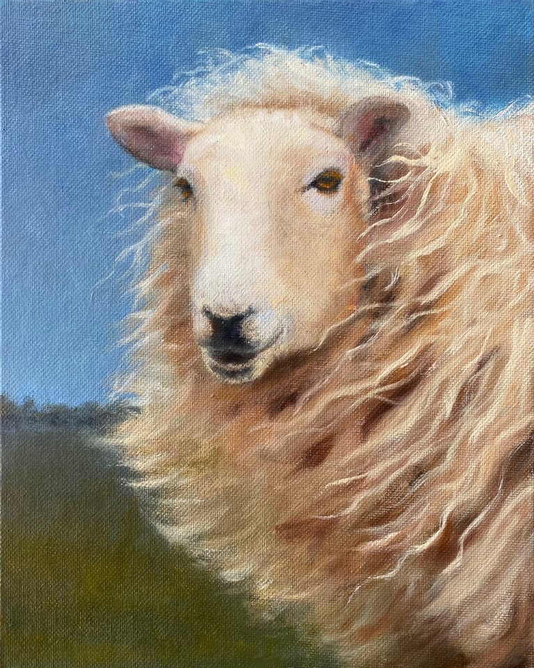 Limited edition giclee print of a sheep on a windy day close up