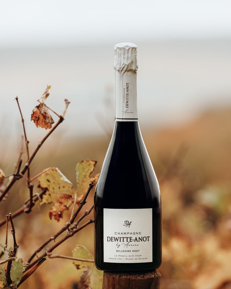 Packshot Maison Champagne Dewiette-Anot