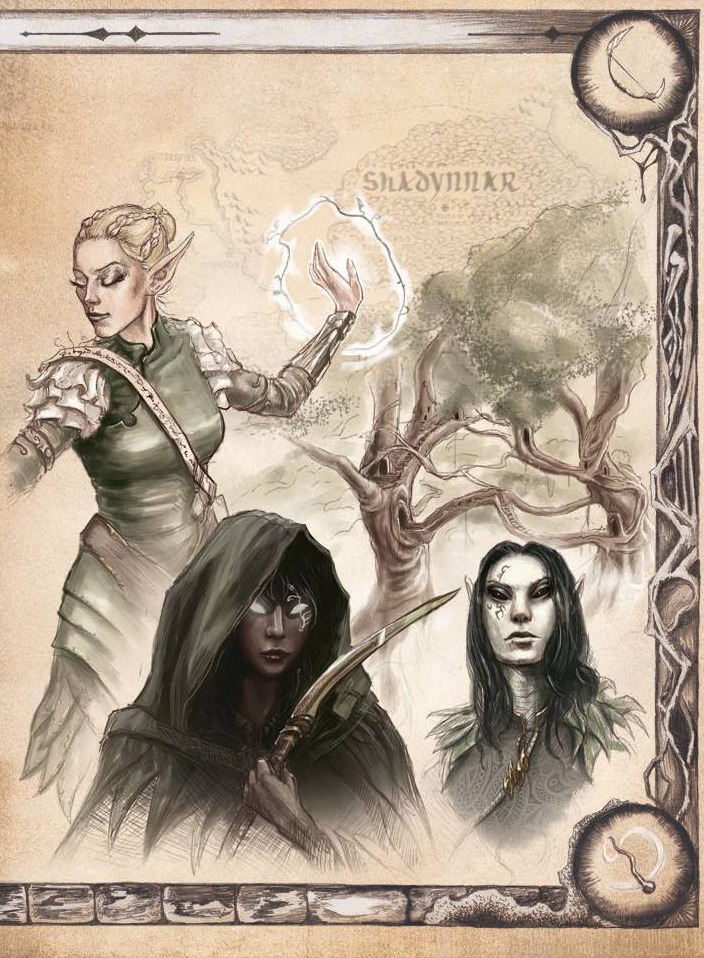 Elves, high elf, shadow elf, and dark elf
