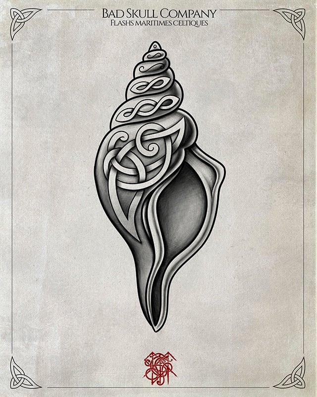 Celtics style sea shell tattoo flash illustration with intricate knotwork patterns on a spiraled conch shell.
