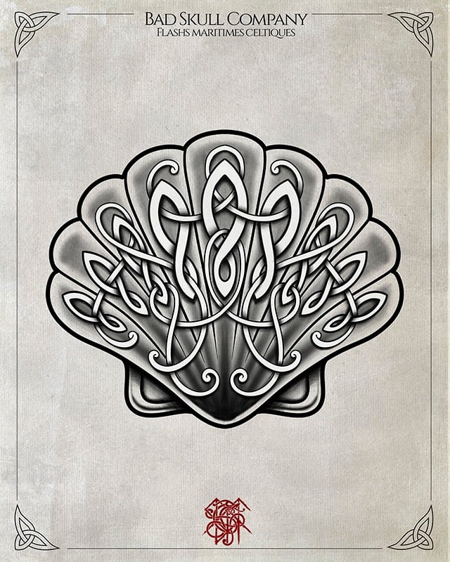 Celtic knot tattoo flash design featuring an intricate scallop seashell on vintage parchment paper.