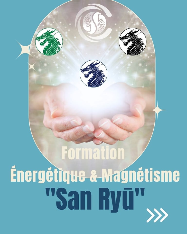 presentation formation magnetisme et energetique, nantes, programme San Ryu