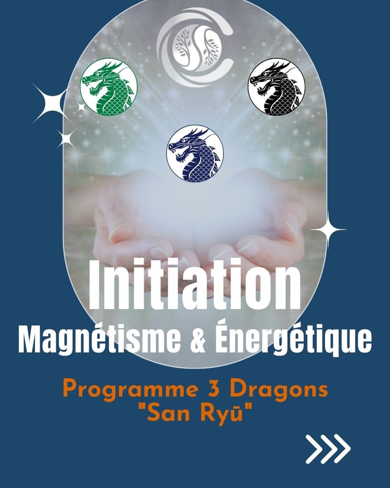 programme intitiation au magnetisme à nantes avec christophe meunier