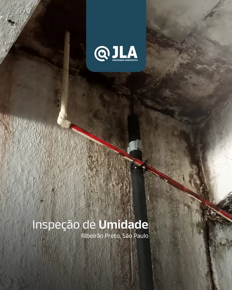 inspeção de umidade feita por nós em ribeirão preto