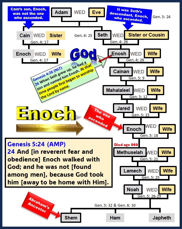 Biblical Family Trees - Enoch's family tree from Seth’s line- designed by Debbie Dunn using PowerPoi
