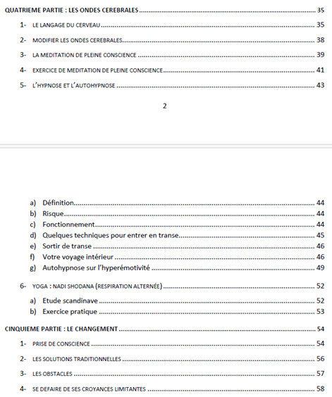 suite de la table des matières de l'ebook de développement personnel sur la gestion des émotions