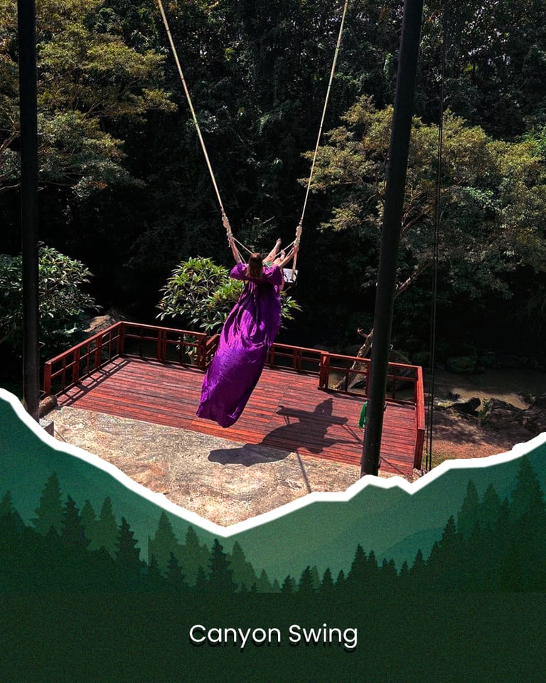 a woman in a purple dress swinging a swing
