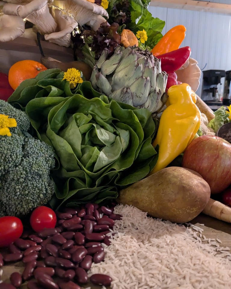 details of food installation