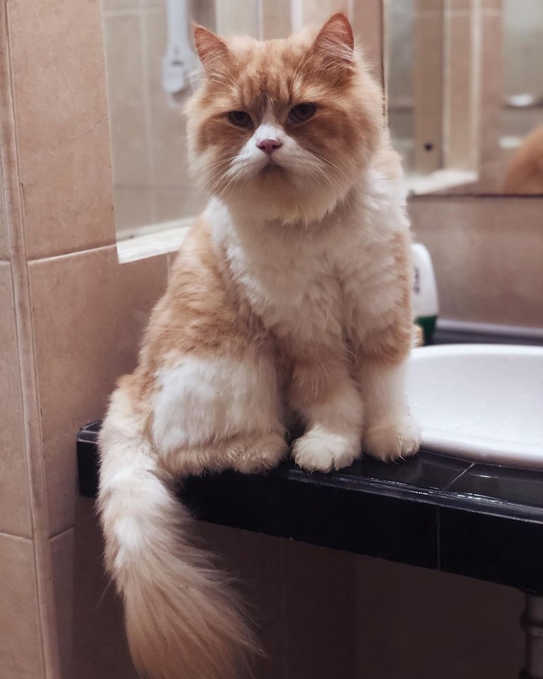 Peaceful neighborhood environment for living in Bali