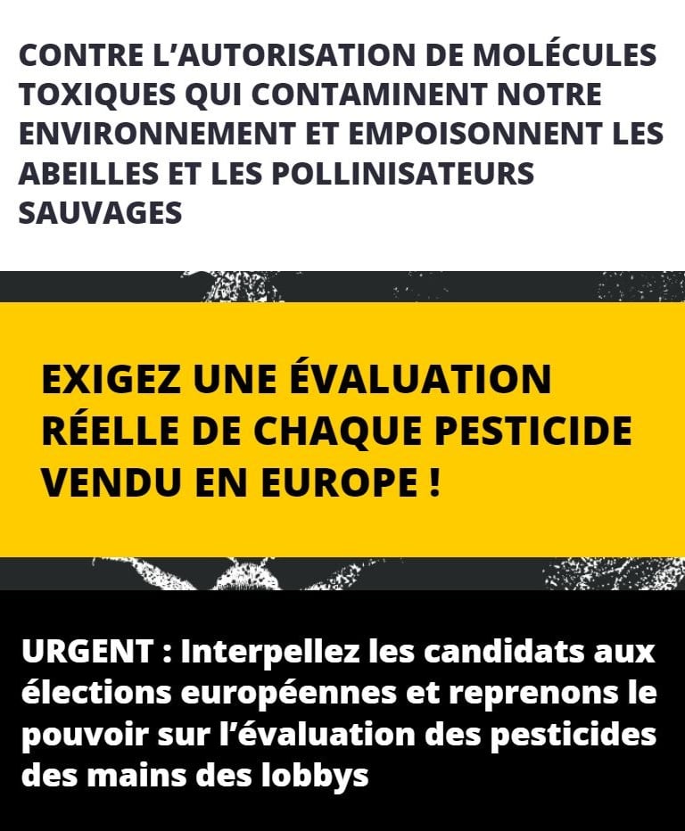 elections europeennes