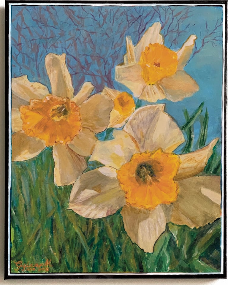 Closeup of three Daffodils in the bright sunshine