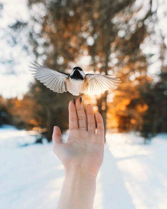 Psicóloga & Terapia Gestalt en Castellón | Jéssica Manjón Puig