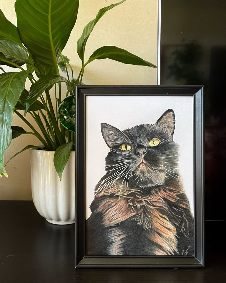 Framed custom pet portrait of a Siberian black cat with yellow eyes next to a potted plant.