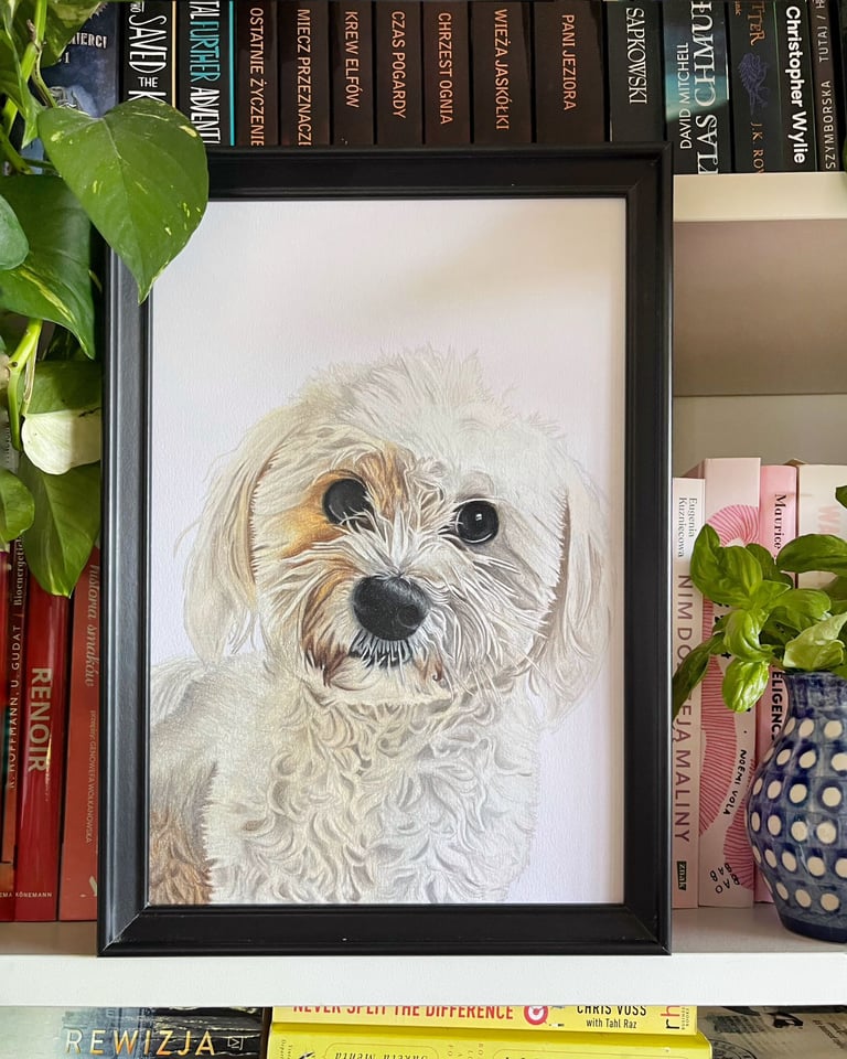 Framed custom pet portrait of a white Maltese dog next to a potted plant.