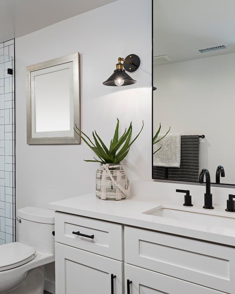 Precision Painting Auckland - Paint Colour Guide