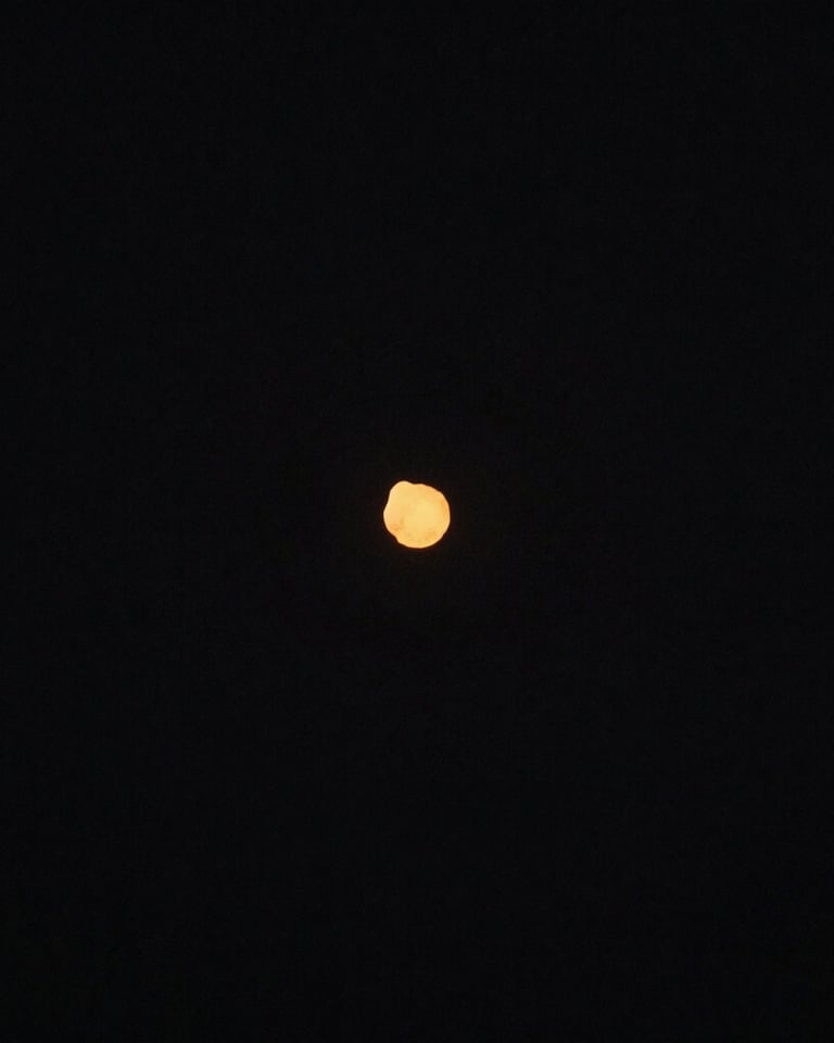 A candid, cinematic wide-angle shot of a couple laughing together in a sun-drenched North American / US backyard garden. The light is a warm terracotta glow. Colors: off-white clothing, charcoal shadows, sky blue accents.