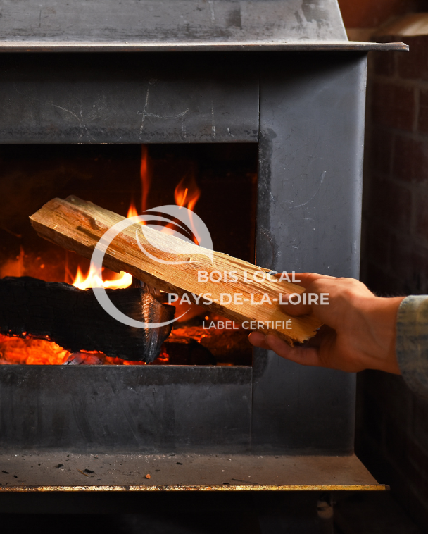 une personne tenant un morceau de bois devant une cheminée