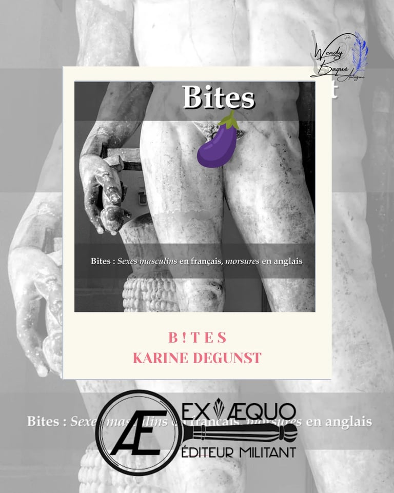 Visuel pour la chronique du roman de Karine Degunst, aux éditions Ex Aequo. 