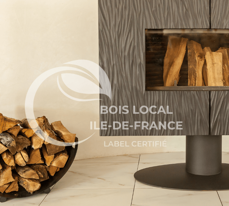 une cheminée avec un foyer au milieu